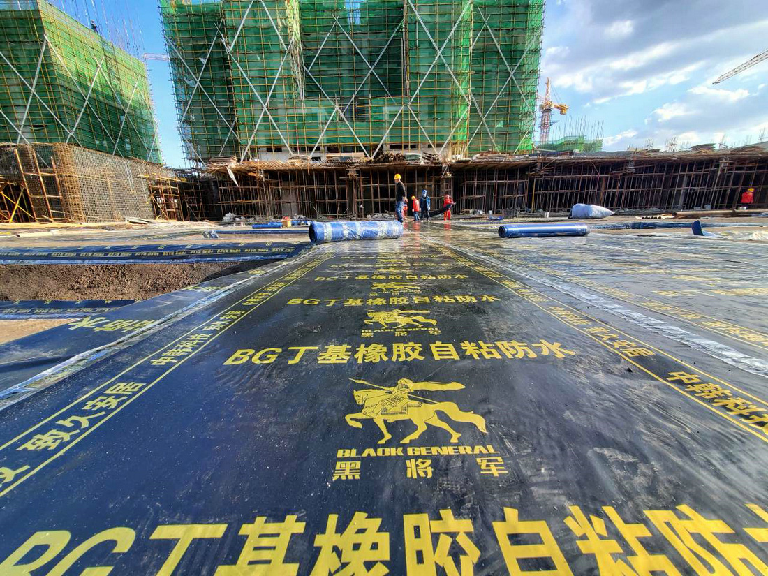 沈陽孔雀城項(xiàng)目